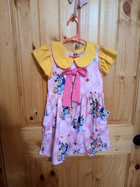 Bluey dress
